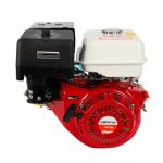 Motor Benzină Campion, 10CP, 4T OHV, 270cc, Ax Orizontal 25mm cu Pană, Uz General - imagine 6