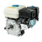 Motor pe Benzină Campion, 7.5CP, 4T OHV, 196cc, Ax Orizontal 20mm cu Pană - imagine 2