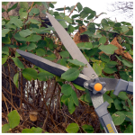 Foarfec extensibil pentru gard viu , din aluminiu, 67-98cm MX329 - imagine 2