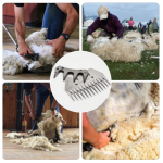Masina tuns oi ROSIE, 2 BATERII, 48V, LIDER MX841 - imagine 4